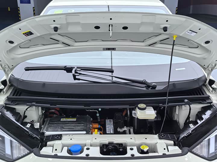 Фото 11 - BYD Seagull