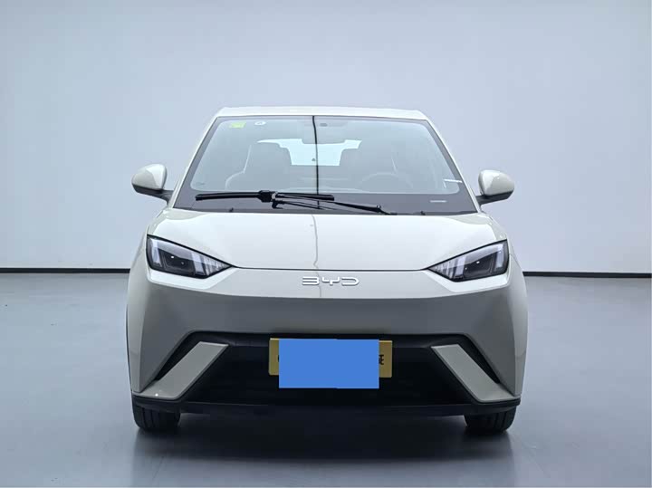 Фото 2 - BYD Seagull