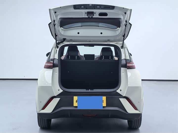 Фото 20 - BYD Seagull