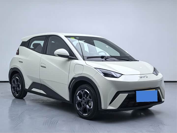 Фото 3 - BYD Seagull