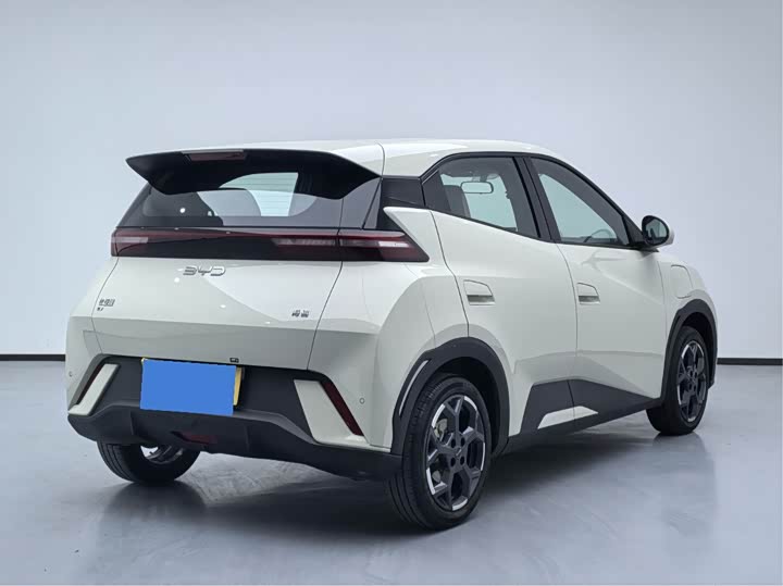 Фото 6 - BYD Seagull