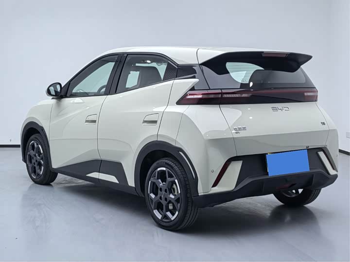 Фото 7 - BYD Seagull