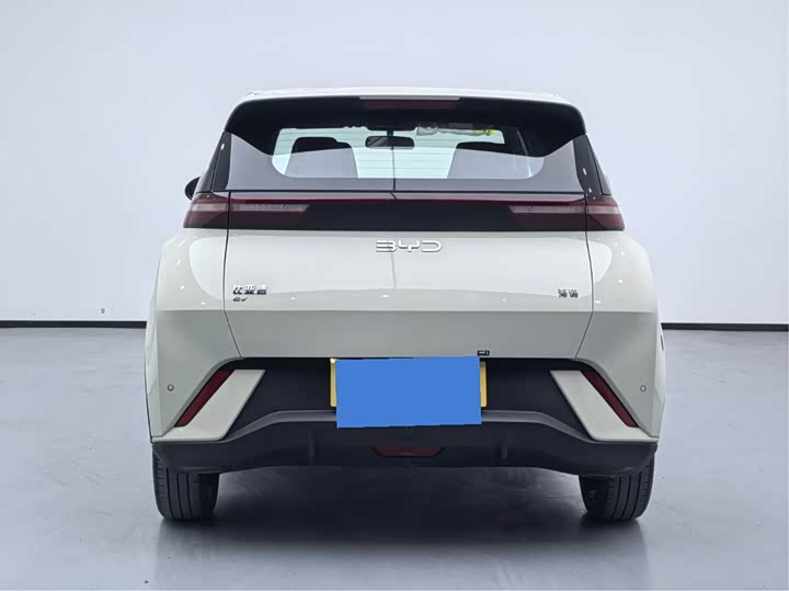 Фото 8 - BYD Seagull