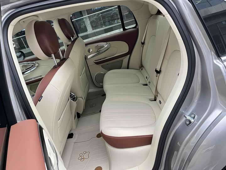 Фото 14 - Ora Ballet Cat