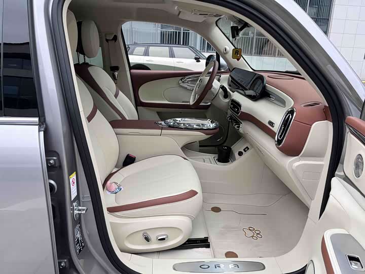 Фото 19 - Ora Ballet Cat