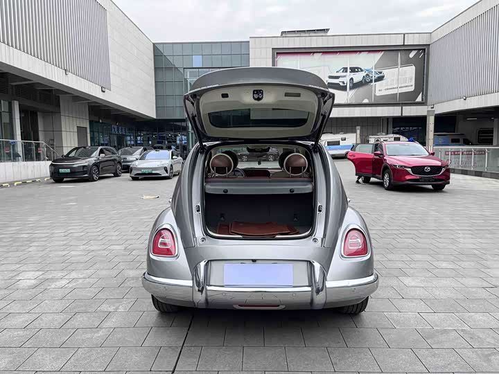 Фото 23 - Ora Ballet Cat