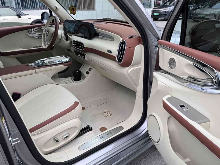 Фото 28 - Ora Ballet Cat