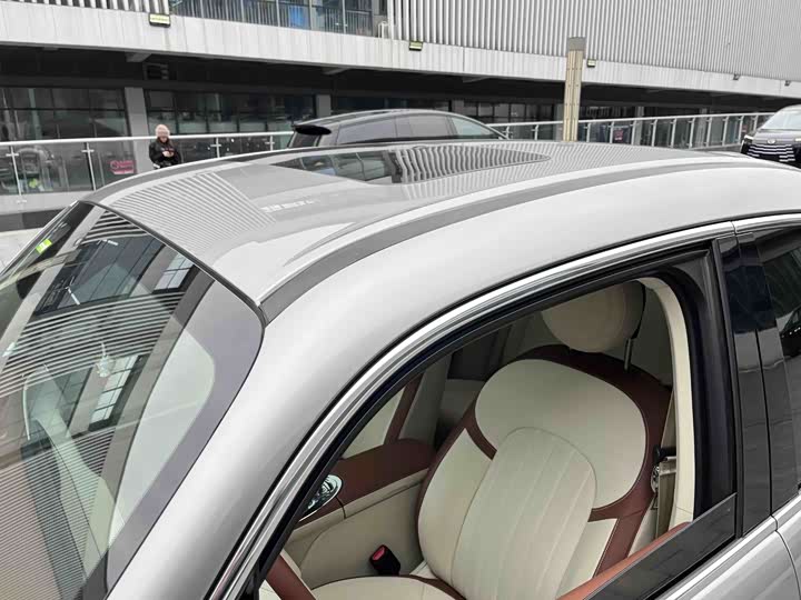 Фото 8 - Ora Ballet Cat