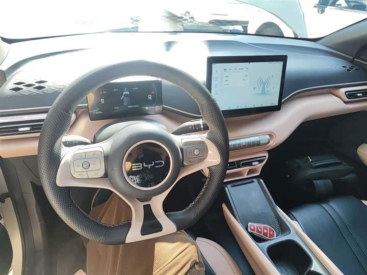 Фото 10 - BYD Seagull