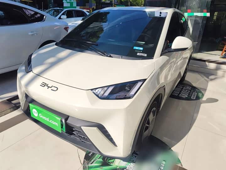 Фото 2 - BYD Seagull