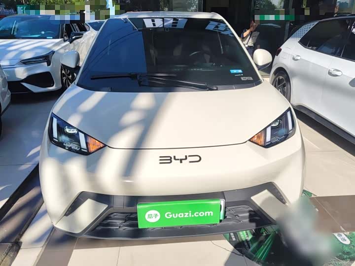 Фото 3 - BYD Seagull