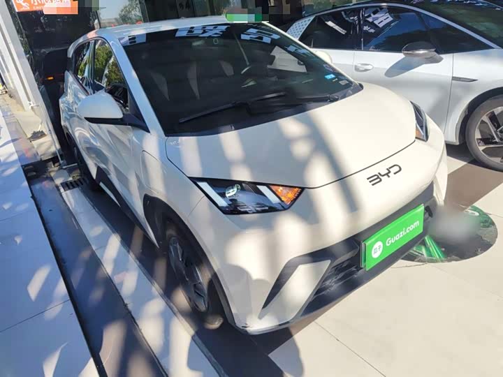 Фото 4 - BYD Seagull