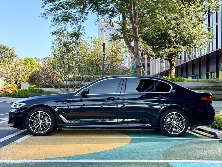 Фото 4 - BMW 5 Series Hybrid