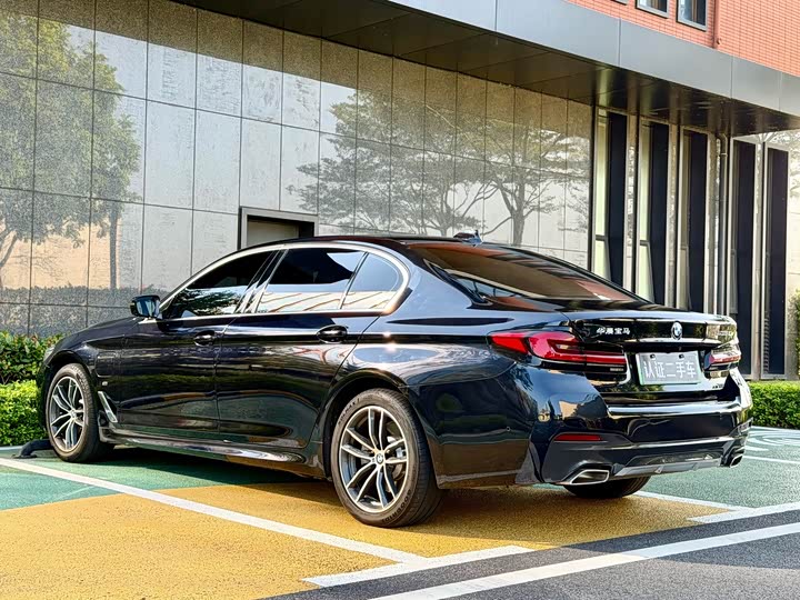 Фото 5 - BMW 5 Series Hybrid