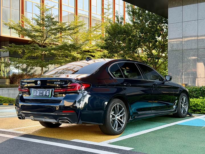 Фото 7 - BMW 5 Series Hybrid
