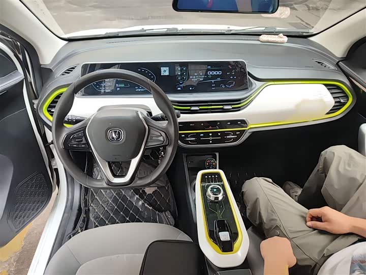 Фото 12 - Changan BenBen E-Star