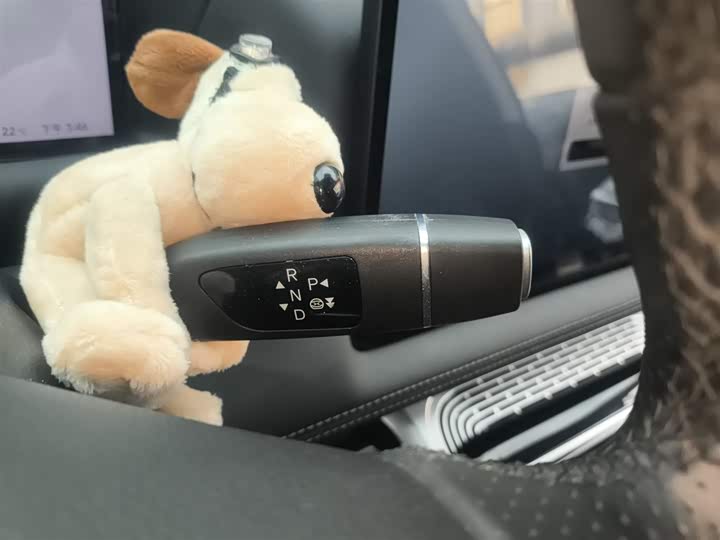 Фото 14 - XPeng G9