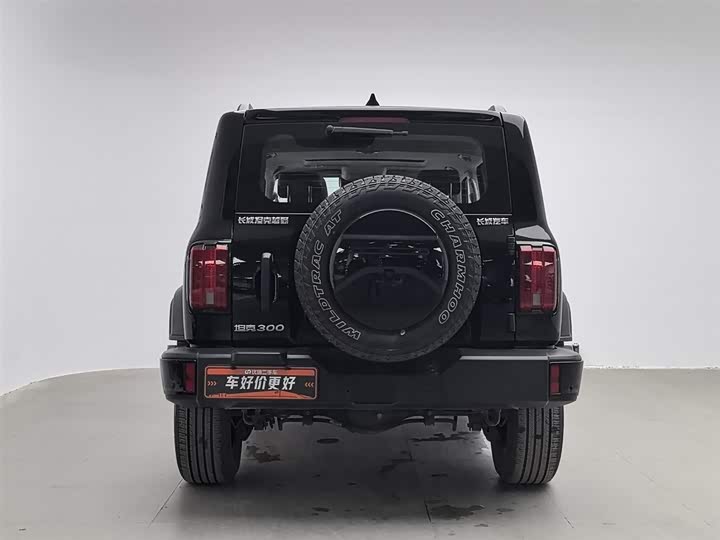 Фото 4 - Tank 300