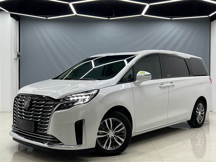 Фото 1 - Buick GL8 ES