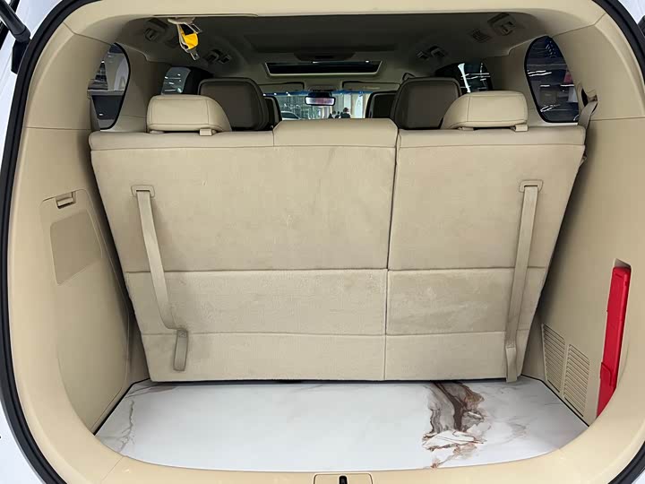 Фото 15 - Buick GL8 ES