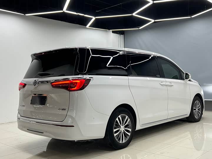 Фото 18 - Buick GL8 ES