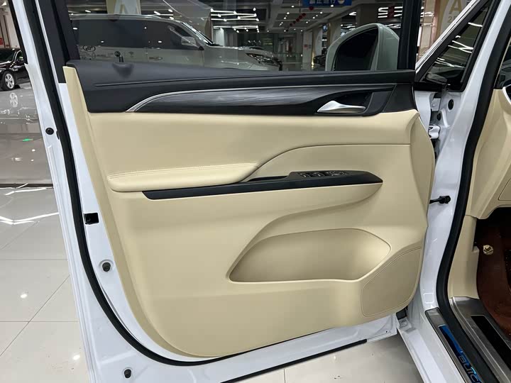 Фото 5 - Buick GL8 ES