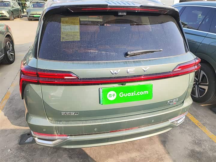 Фото 5 - Wey Lanshan