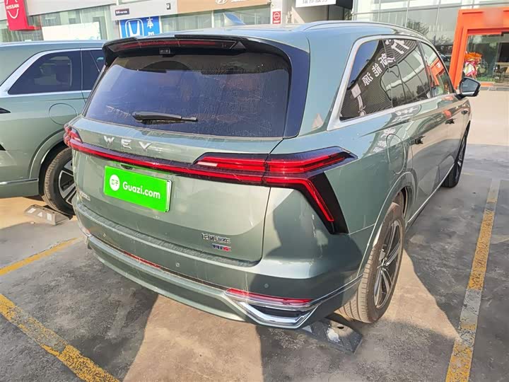 Фото 6 - Wey Lanshan