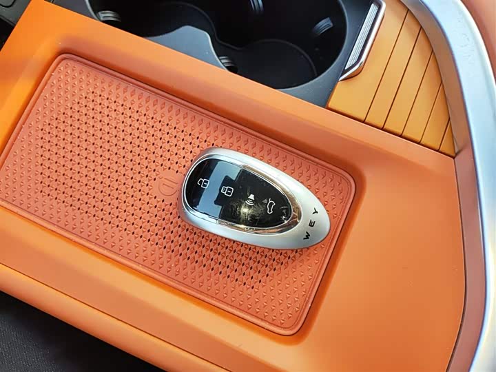 Фото 8 - Wey Lanshan