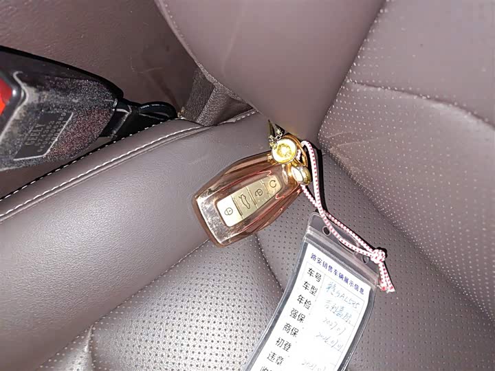 Фото 9 - Geely Jiaji