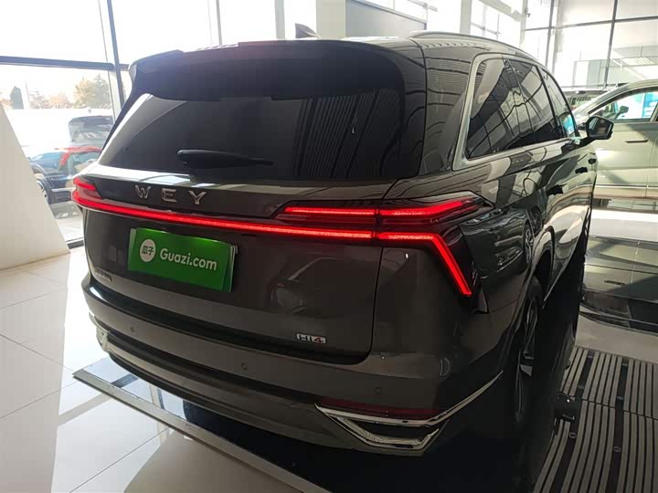 Фото 7 - Wey Lanshan