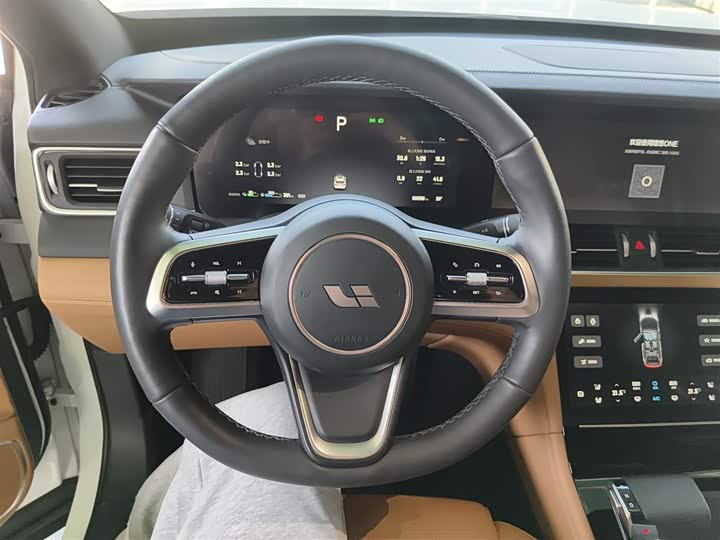 Фото 11 - LiXiang One