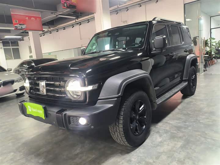 Фото 1 - Tank 300