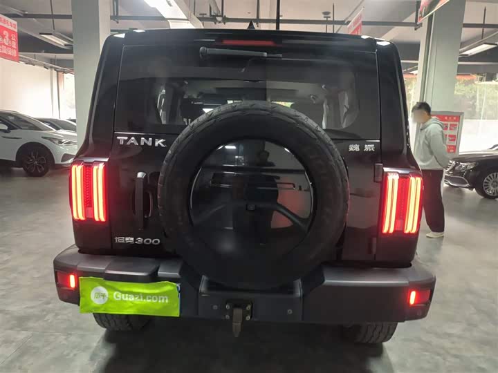 Фото 6 - Tank 300