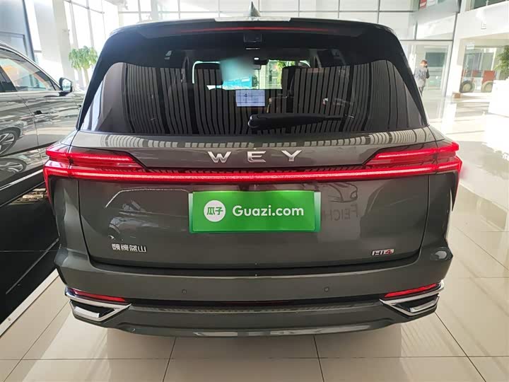 Фото 6 - Wey Lanshan