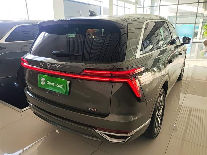 Фото 7 - Wey Lanshan