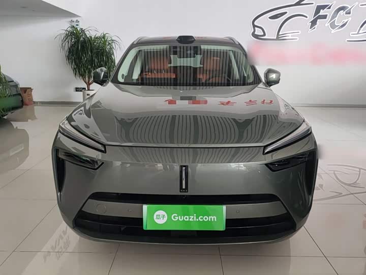 Фото 3 - Wey Lanshan