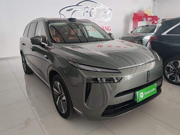 Фото 4 - Wey Lanshan