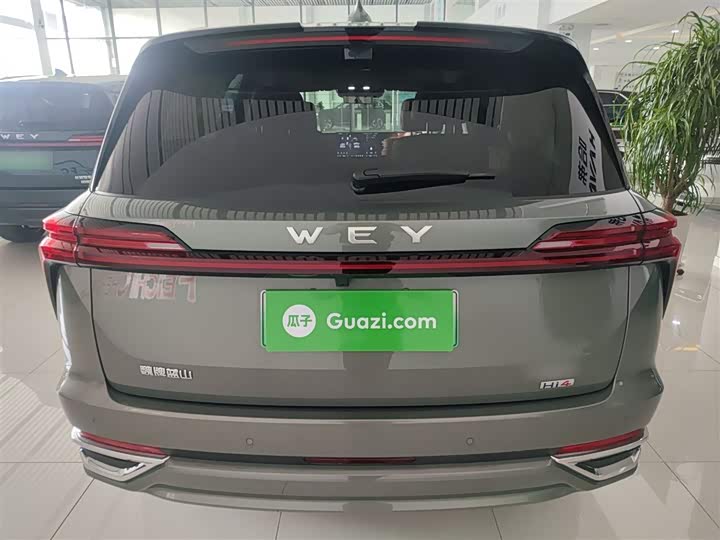 Фото 6 - Wey Lanshan