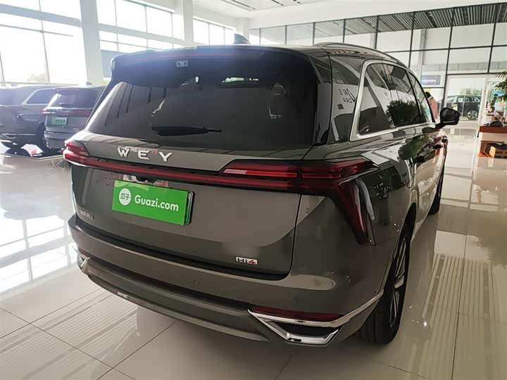 Фото 7 - Wey Lanshan