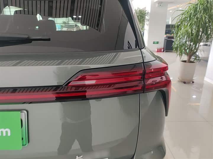 Фото 8 - Wey Lanshan