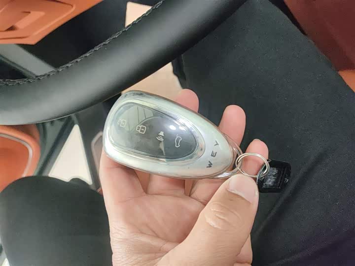 Фото 9 - Wey Lanshan