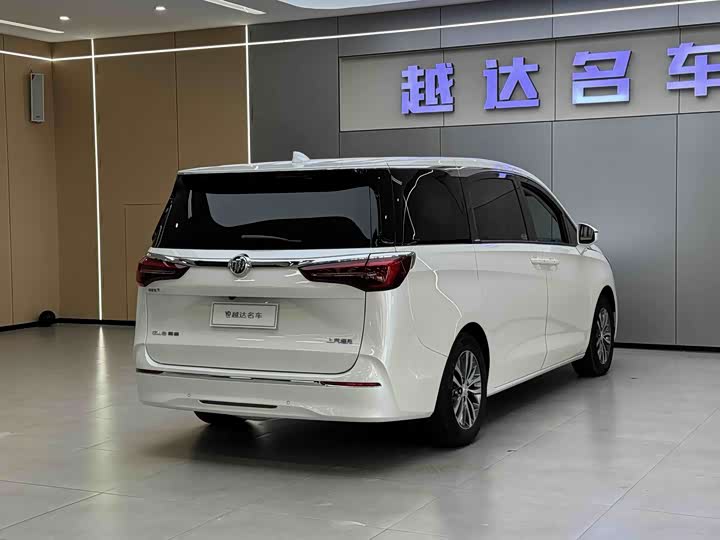 Фото 20 - Buick GL8 ES