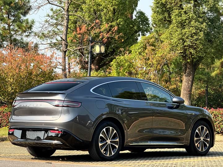 Фото 6 - Luxeed R7