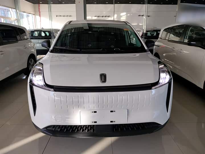 Фото 3 - Bestune NAT