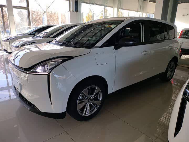 Фото 5 - Bestune NAT