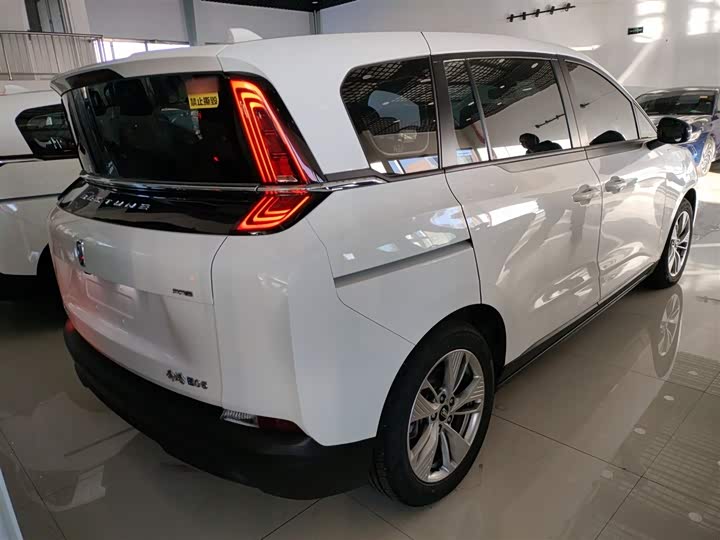 Фото 7 - Bestune NAT