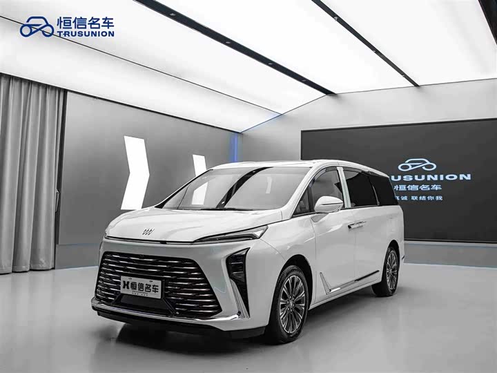 Фото 1 - Buick GL8 ES