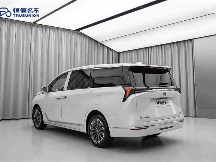 Фото 7 - Buick GL8 ES