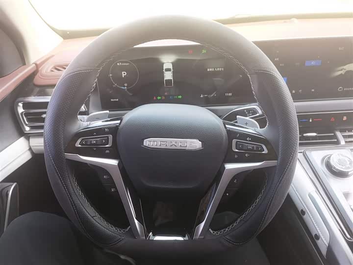 Фото 11 - Maxus Star